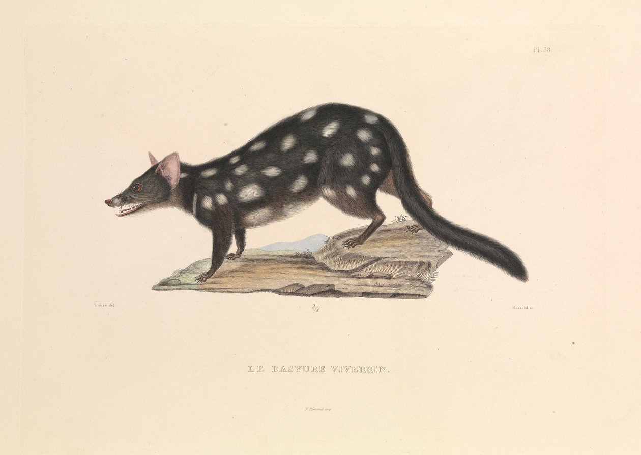  av Hyacinthe Yves Philippe (1781 1846) Potentien