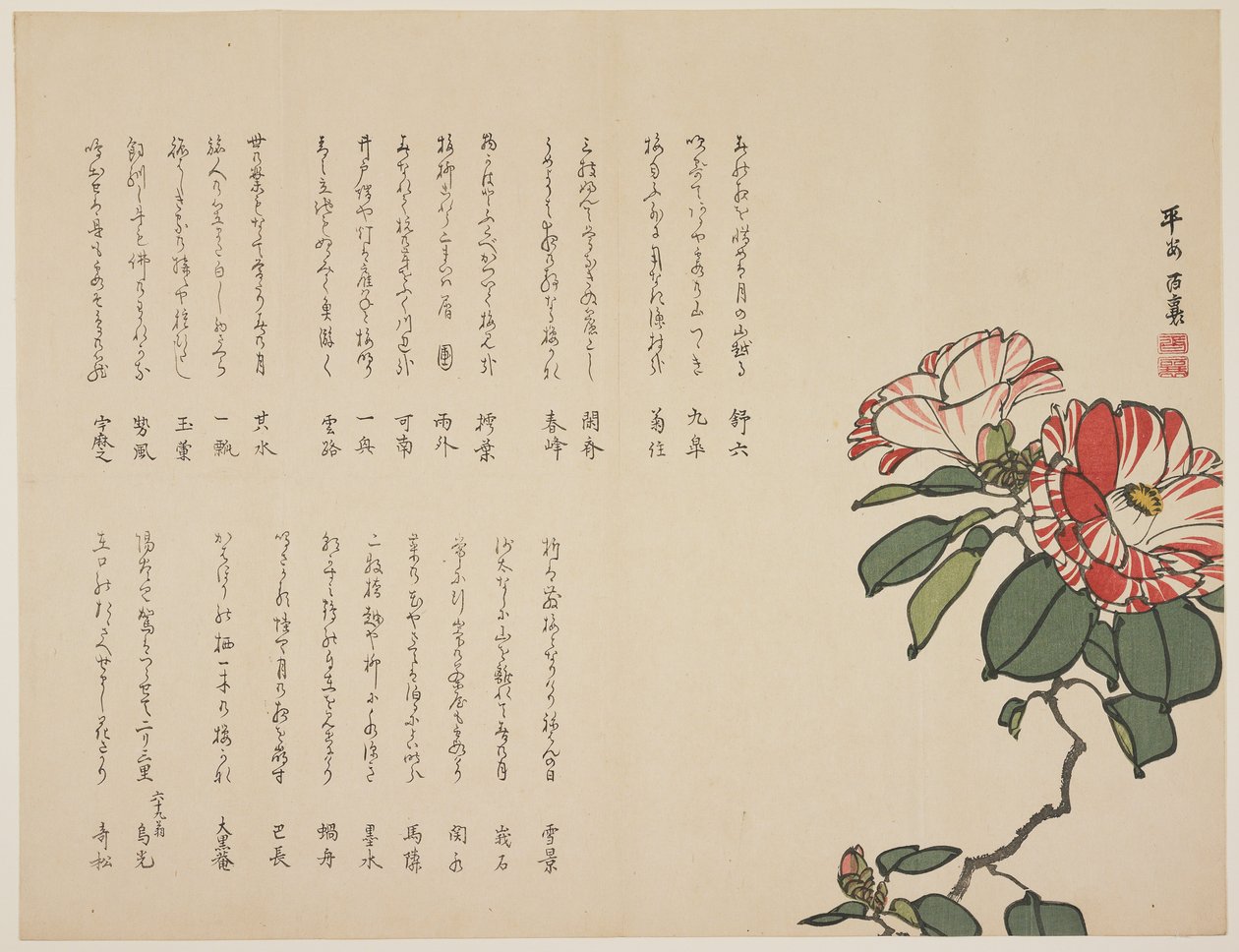 Blomstrende kamelia, ca. 1818-1829 (farget treblokktrykk) av Hyakuj