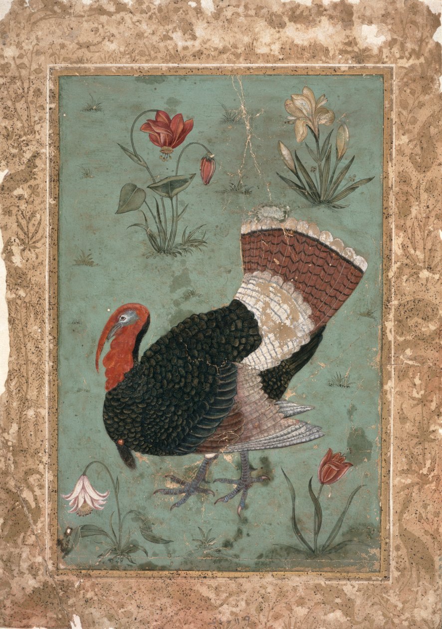 Tyrkia, Mughal (farge på blekgrønn bakke) av Indian School