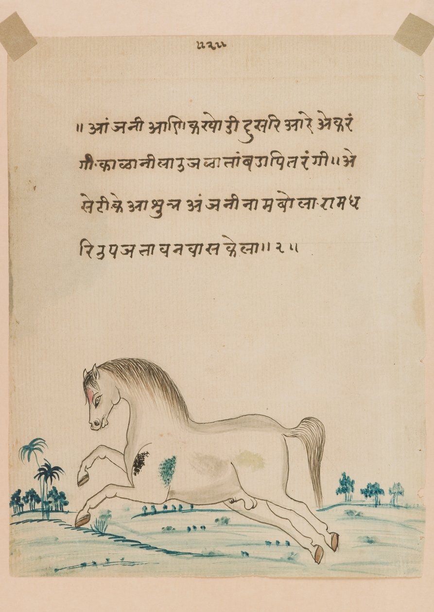 Hest (ugjennomsiktig wc på papir) av Indian School