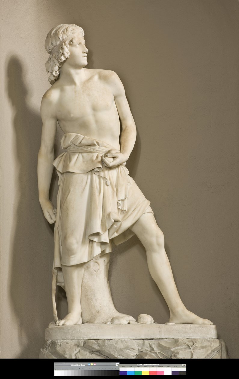 David med slyngen, 1858 av Innocenzo Fraccaroli