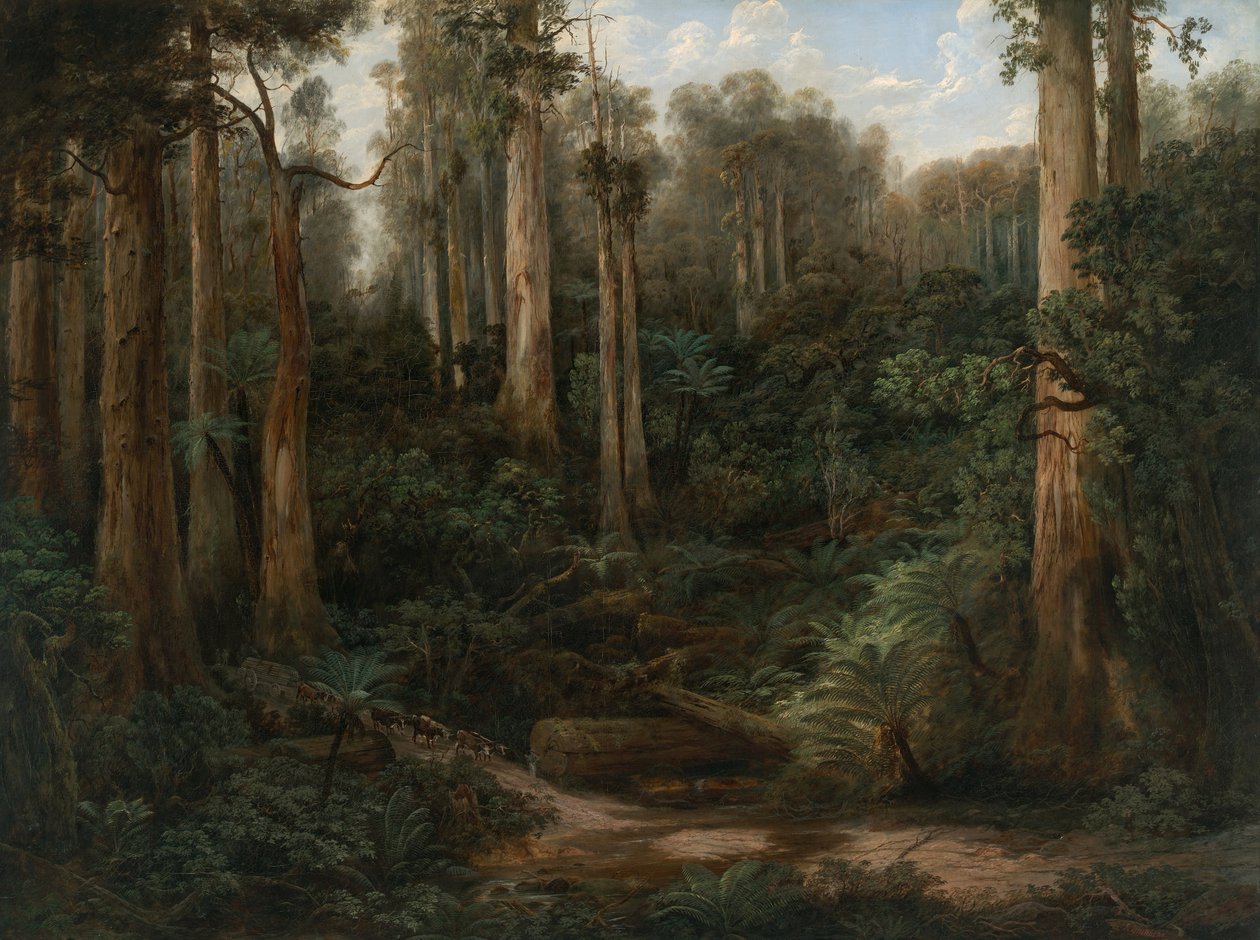 A Sassafras Gully, Gippsland av Isaac Whitehead
