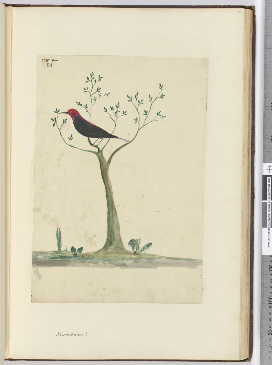 f.24 Nye Hebridene ?, 1772-75 (wc) av Isaac Smith