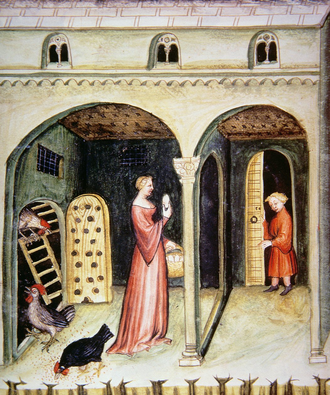 Fol.65v oppdrettshøner, illustrasjon fra Tacuinum Santiatis Codex Vindobonensis av Italian School