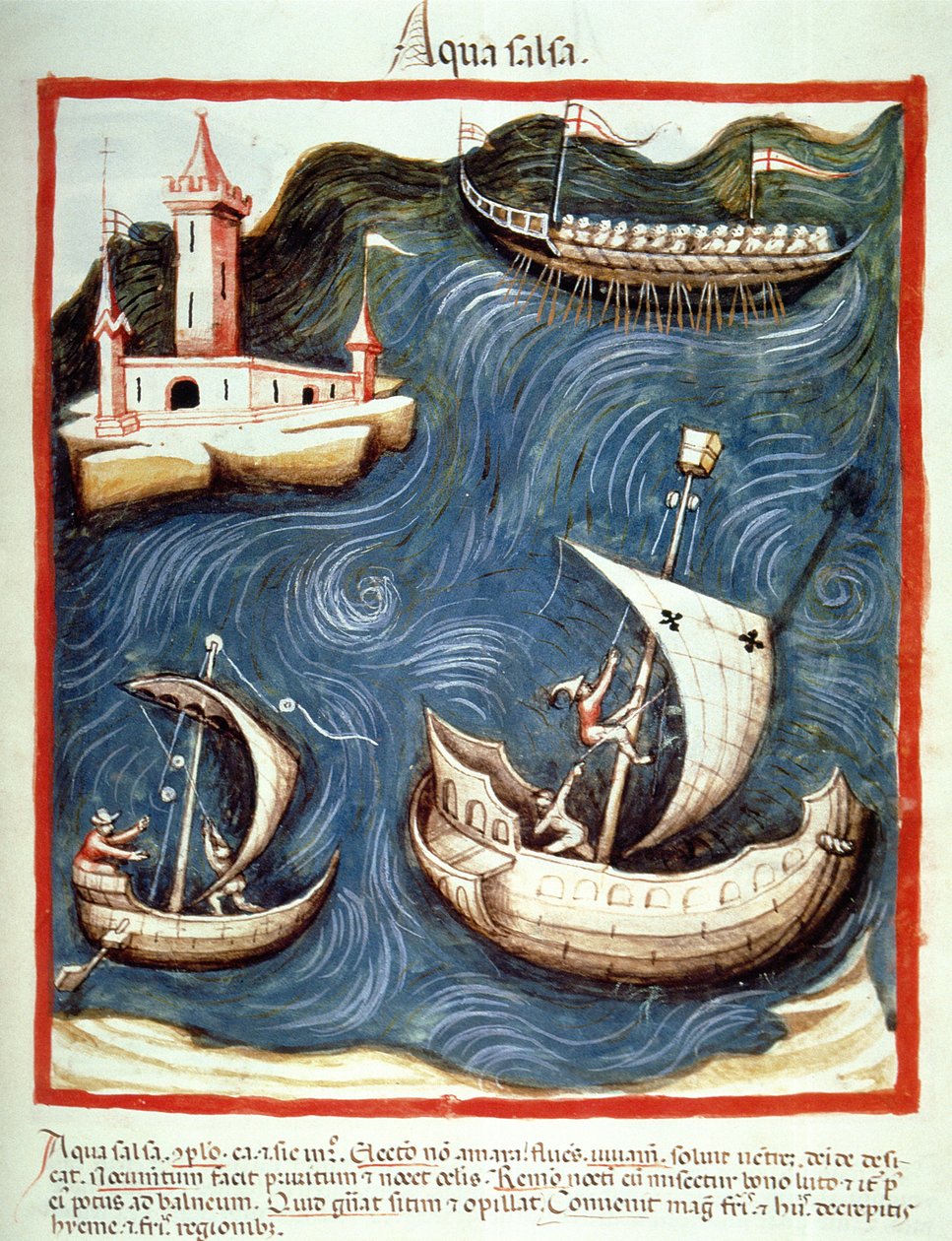 Nova 2644 f.88r Boats on the Sea, illustrasjon fra Tacuinum Santiatis Codex Vindobonensis av Italian School
