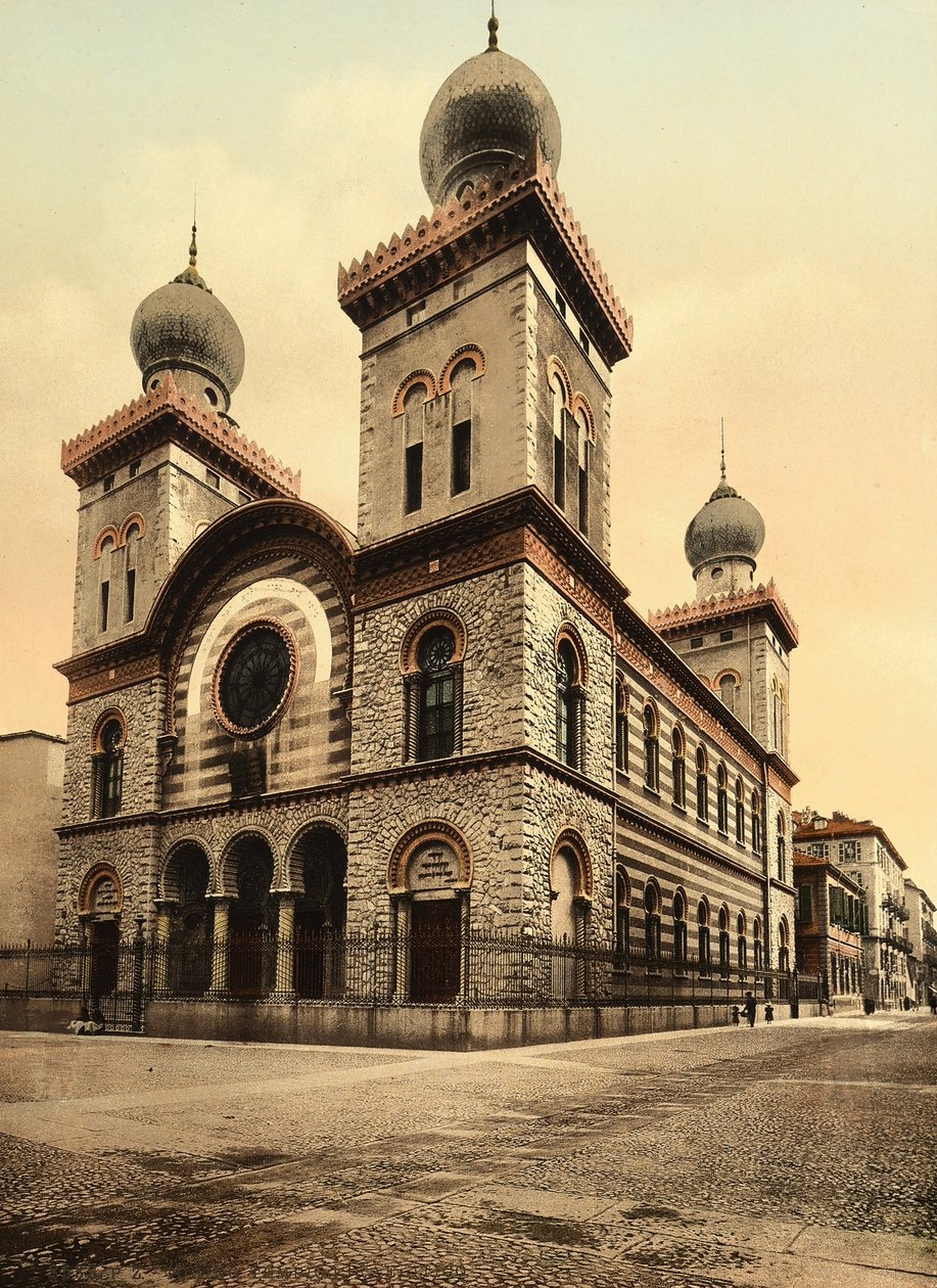Israels tempel, Torino av Italian Photographer Italian Photographer