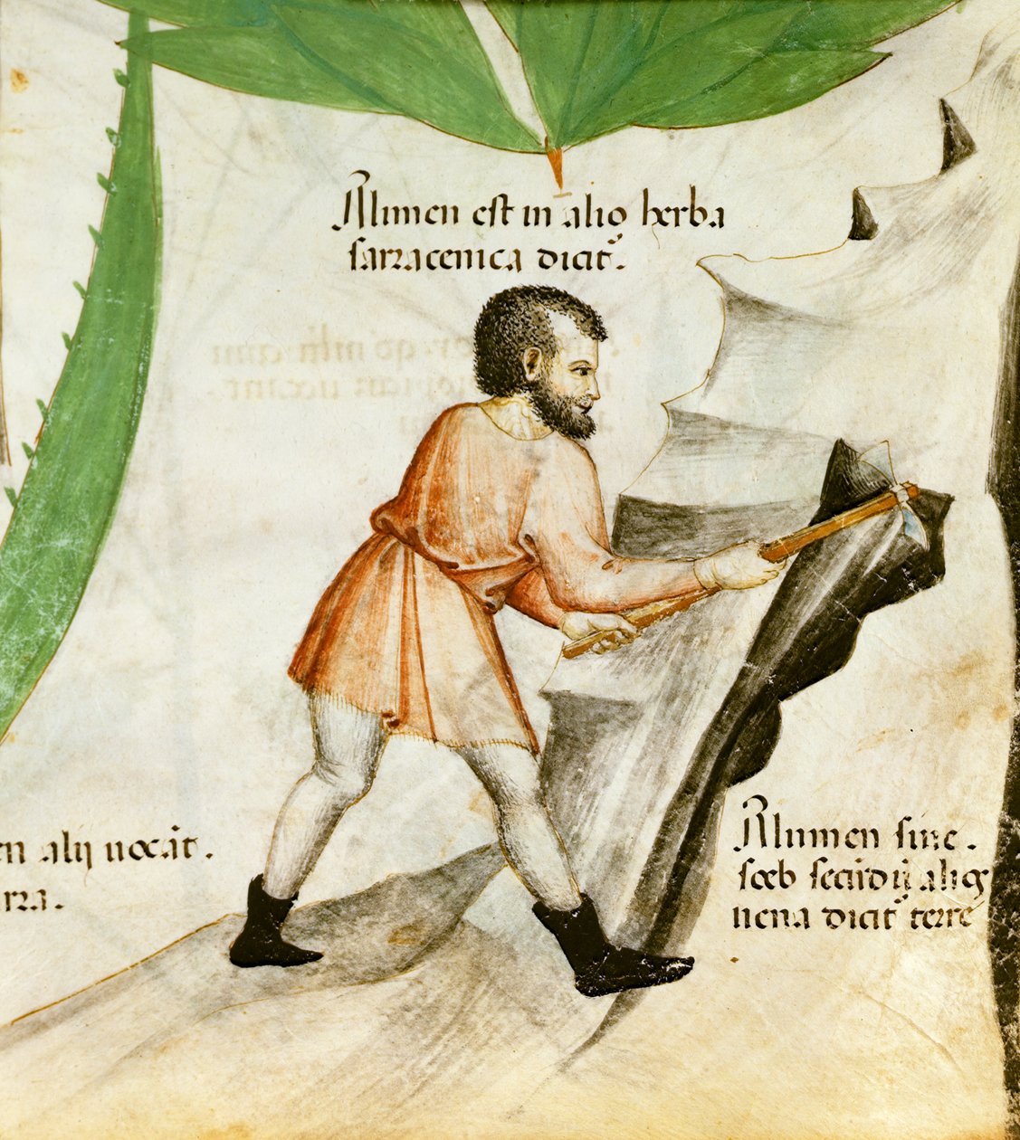 Ekstraherende alun, ca. 1440 (farge litho) av Italian School