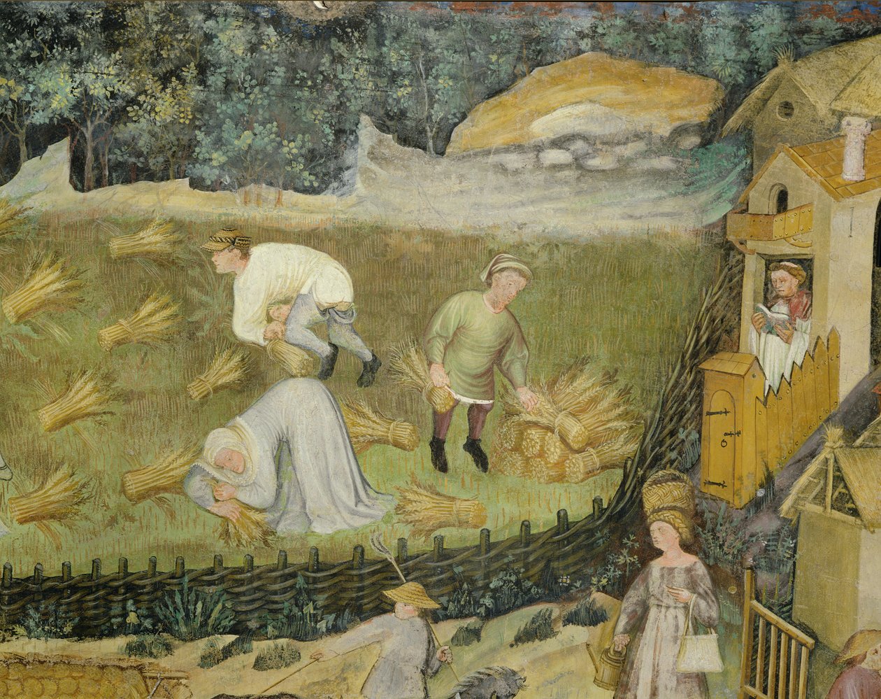 Høsting av kornskiver (fresco) av Italian School