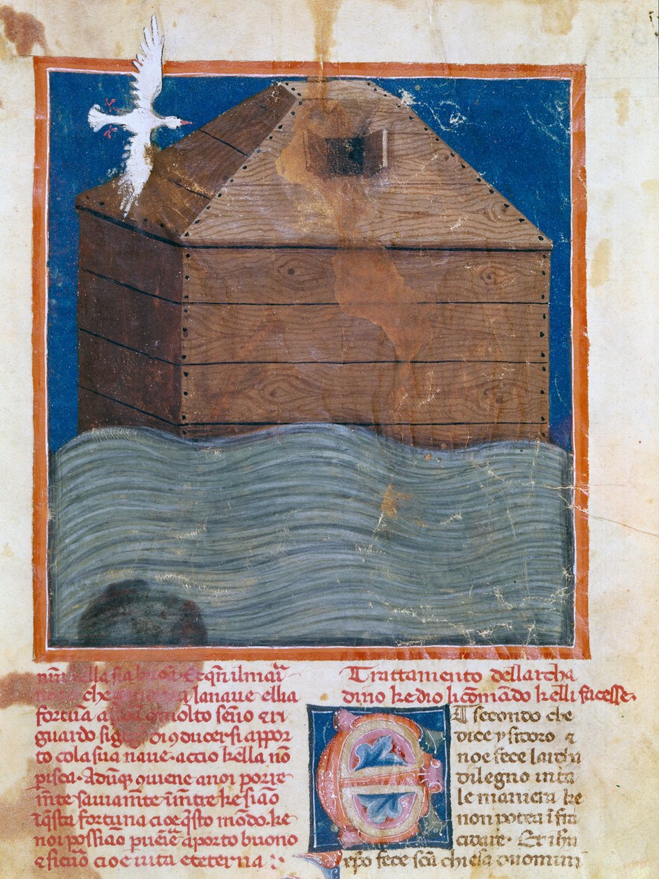 Ms. II.VI.16, c. 83a, Noahs Ark av Italian School