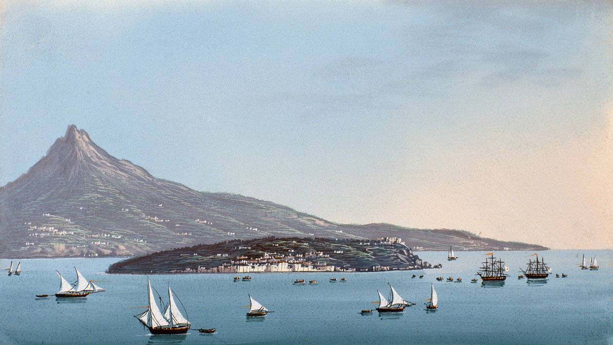 Utsikt over Napoli (gouache) av Italian School