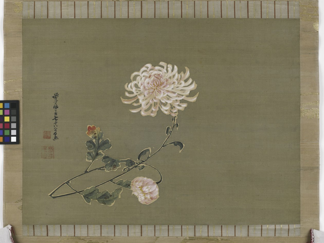 Krysantemum, Edo-perioden, 1791 (blekk og farge på silke) av Ito Jakuchu