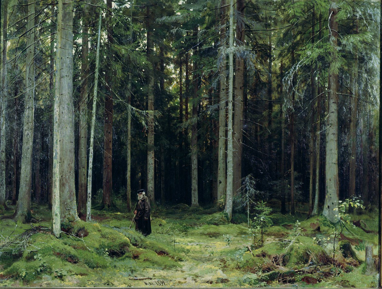 Grevinne Mordvinovs skog, 1891 av Ivan Ivanovich Shishkin