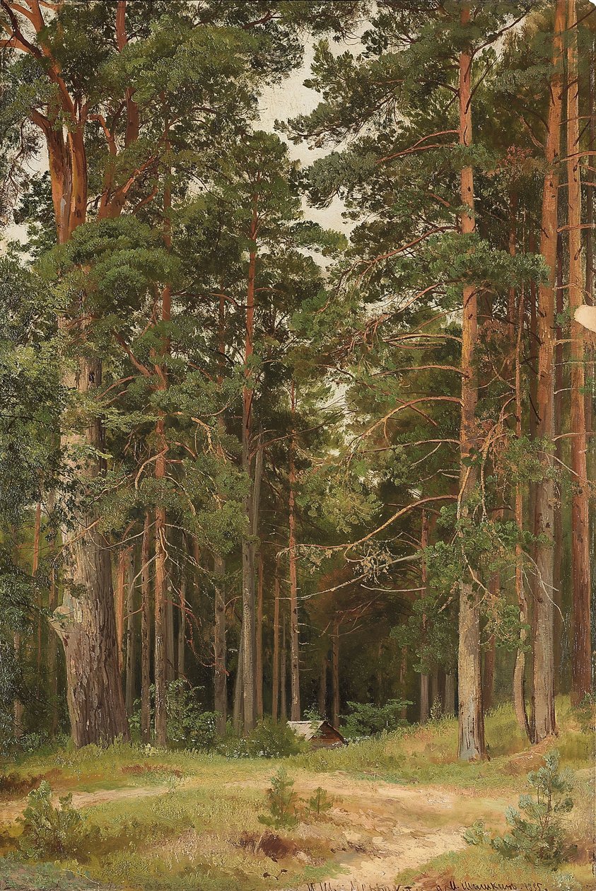 En sommerdag, Merikiul, 1895 av Ivan Ivanovich Shishkin