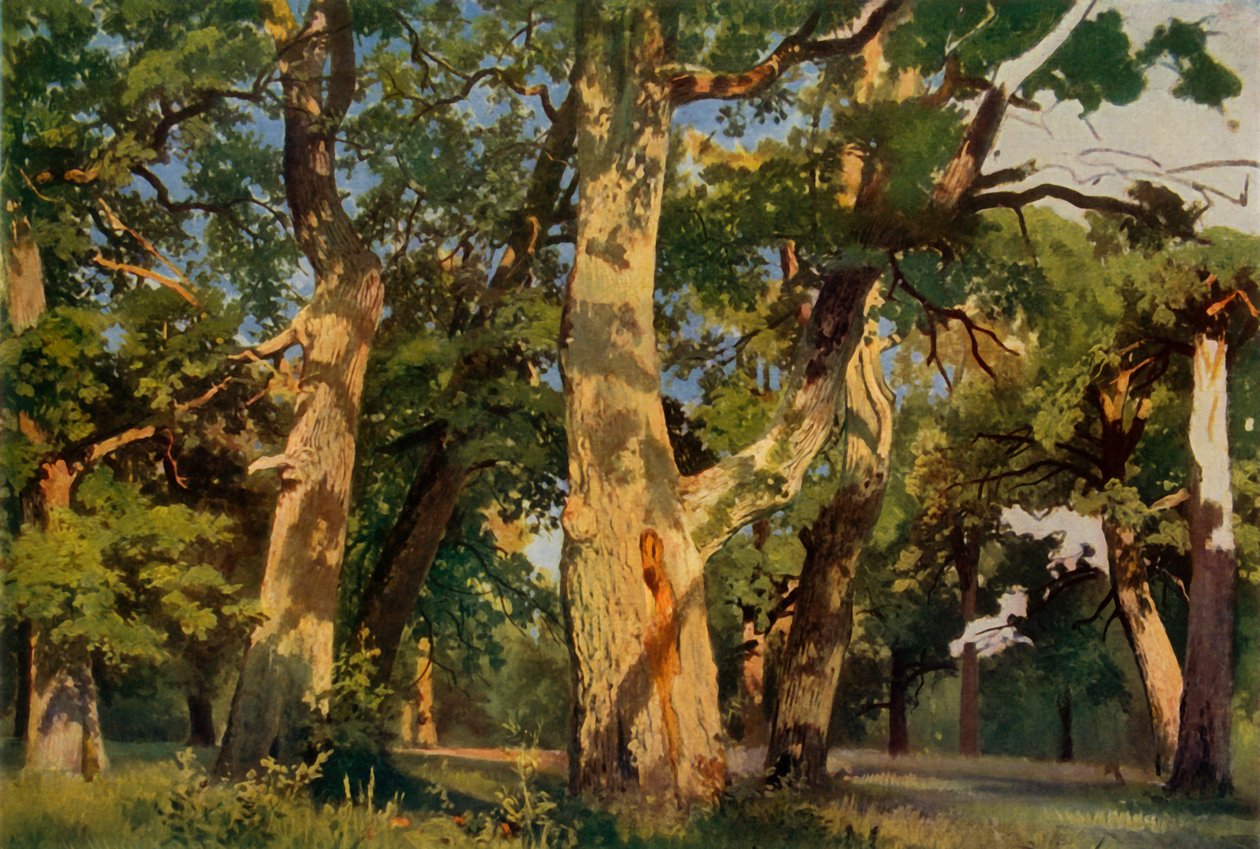 Eiketrær ved Eventide, 1887, 1965. av Ivan Ivanovich Shishkin