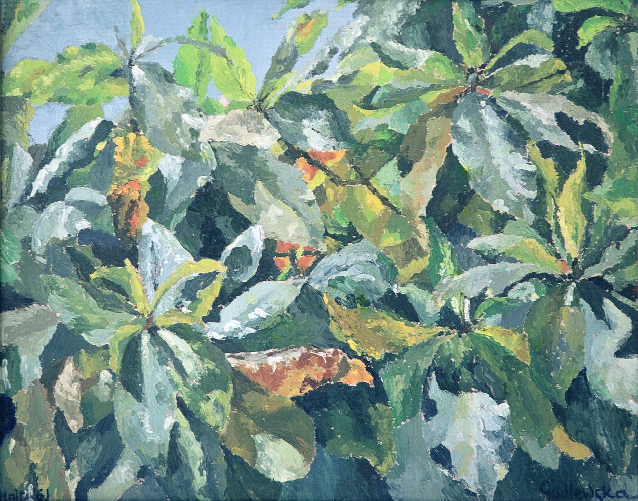 Planter, 1961 av Izabella Godlewska de Aranda