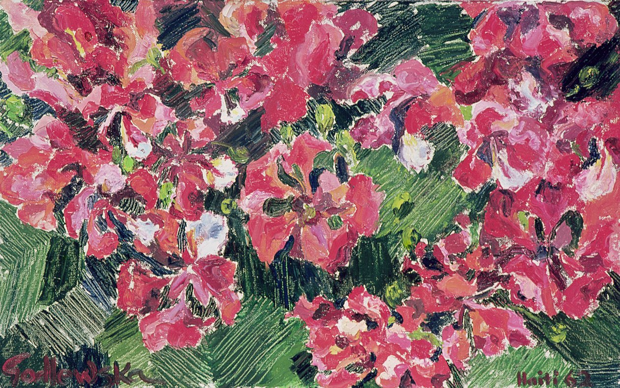 Rhododendron, 1962 av Izabella Godlewska de Aranda