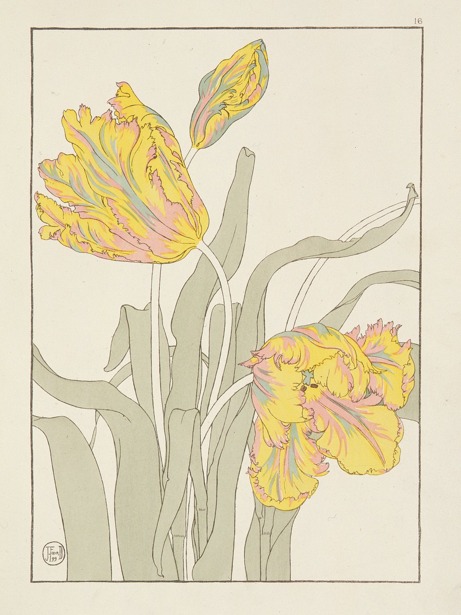 Tulip av J. Foord (fl.1890) tallerken 16 fra Decorative Flower Studies pub. 1901, 1899 av J. Foord