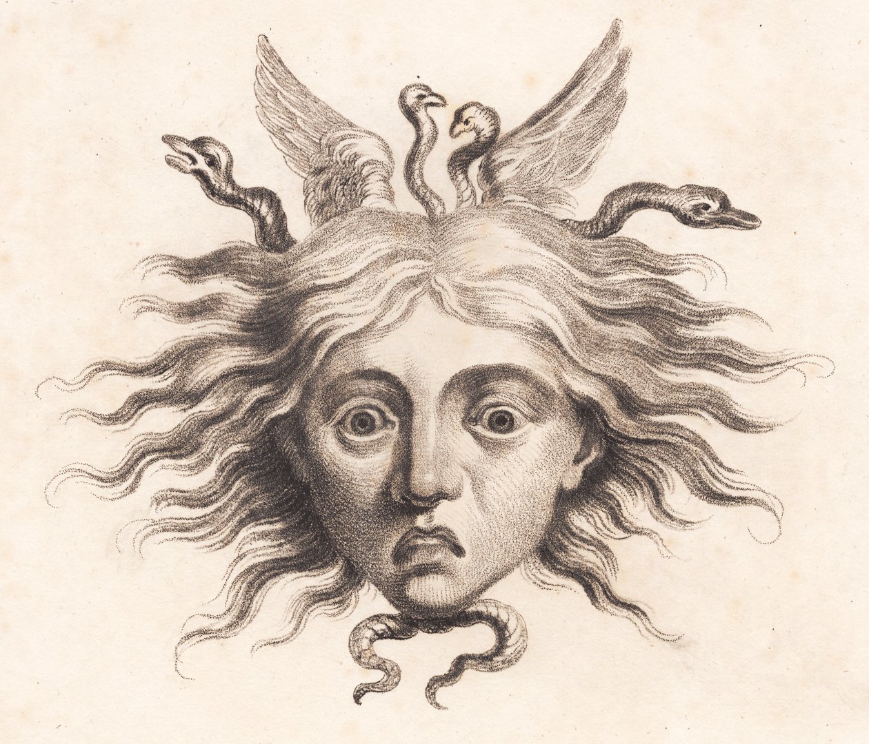 Medusahoved av J.F. Clemens