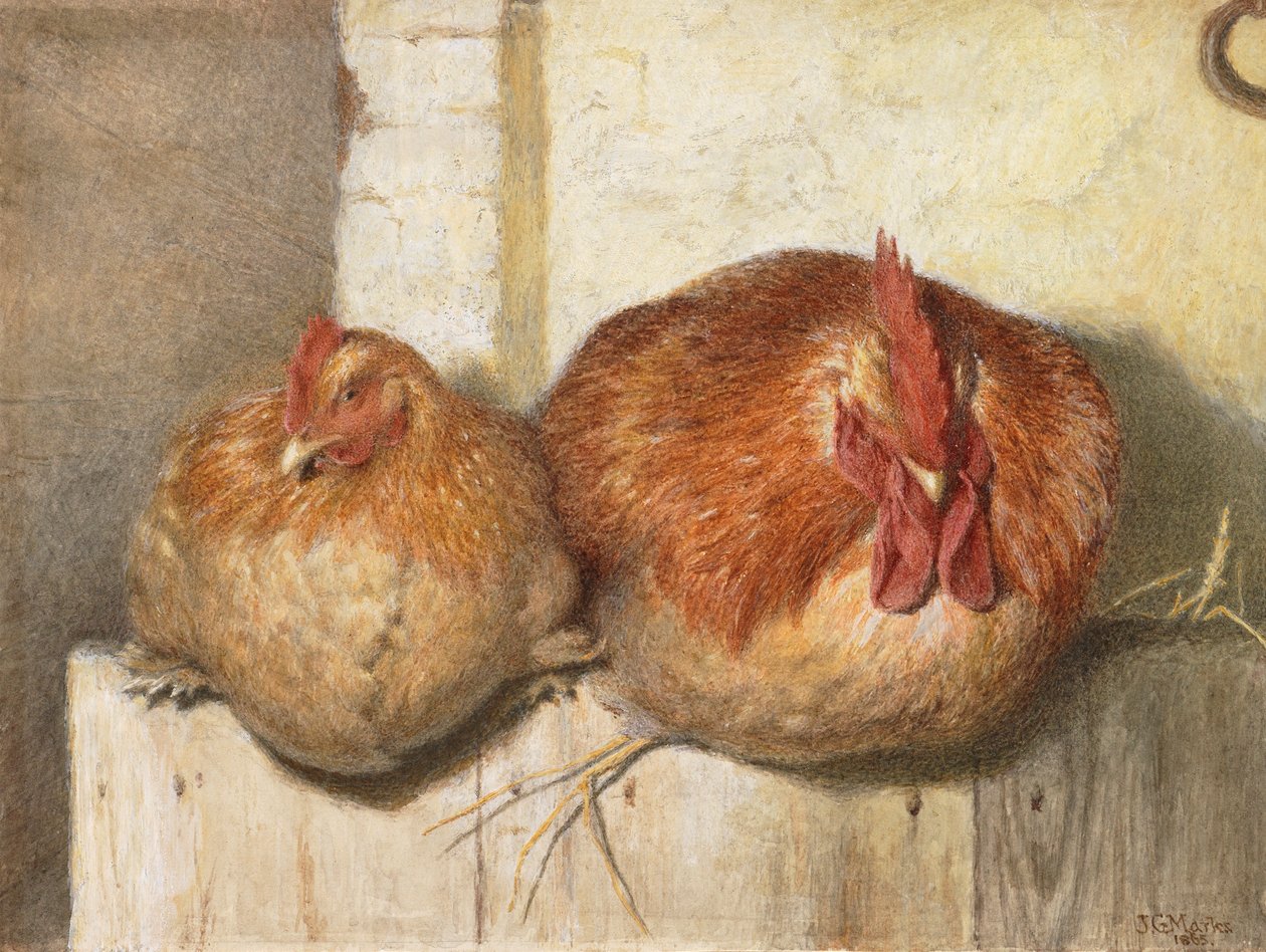 Forty Winks, 1865 (wc på papir) av J.G. Marks