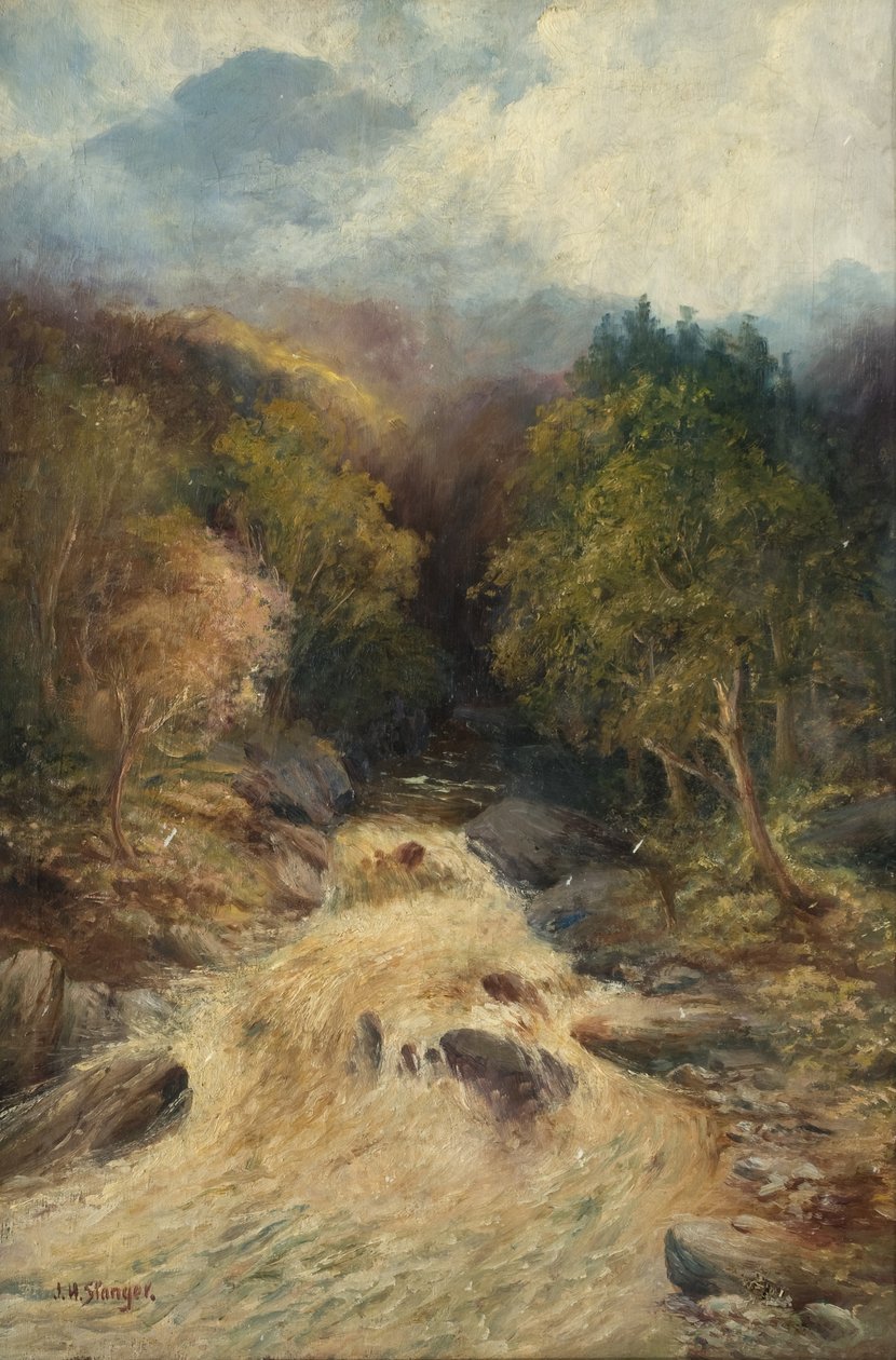 En fjellskog av J.H. Stanger
