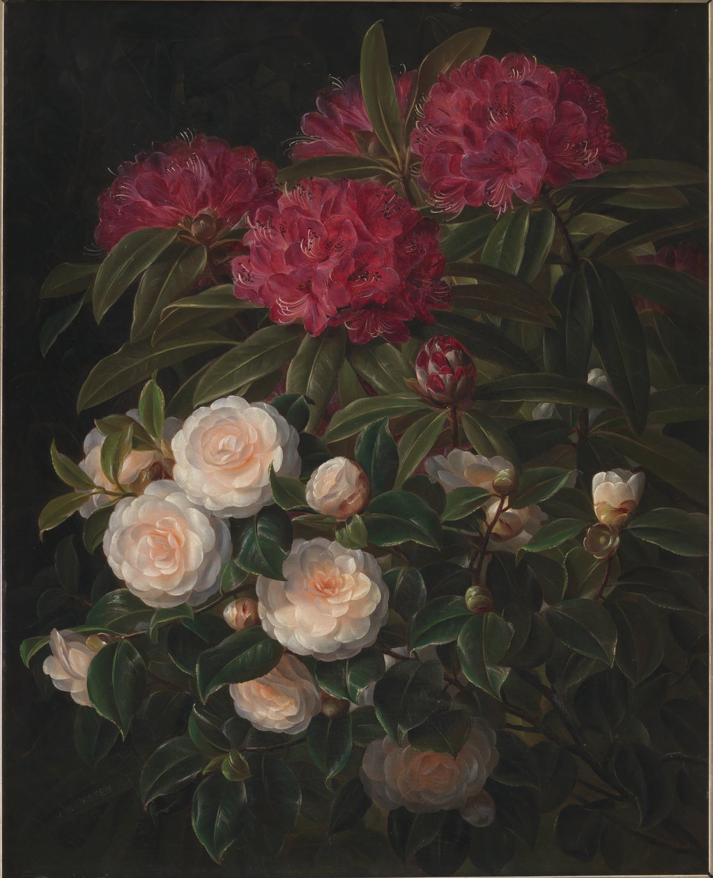 Kamelier og rhododendron av J.L. Jensen