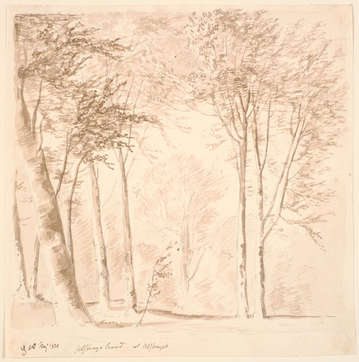 Skogslott av J.P. Møller