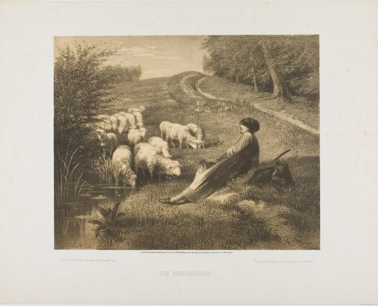 Gjeterinnen av J. Foxcroft Cole