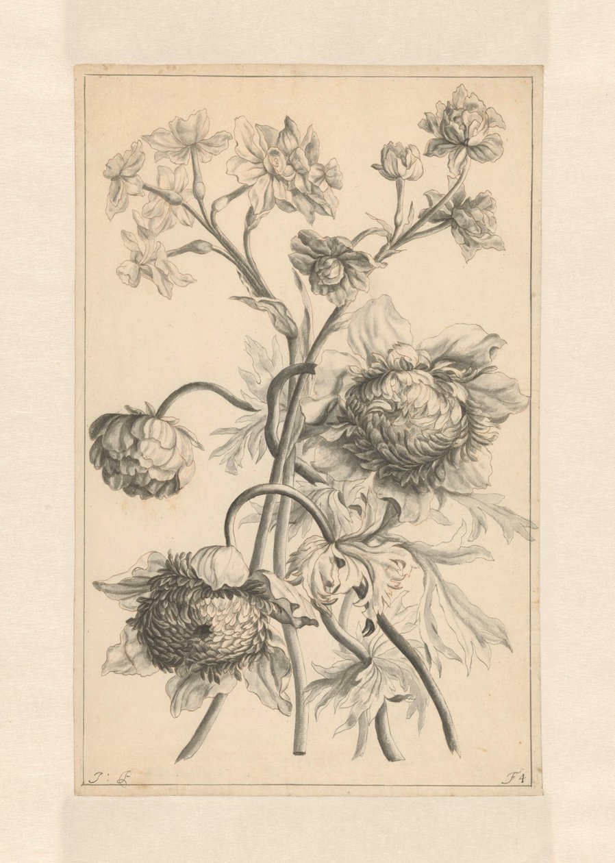 Twee takken met een pioenroos   1391338   no       norwegian Successfully Translated  Original: Crouching Monkey and Mans Head; Bones and Muscles [verso] Translat: Crouching Monkey and Man
