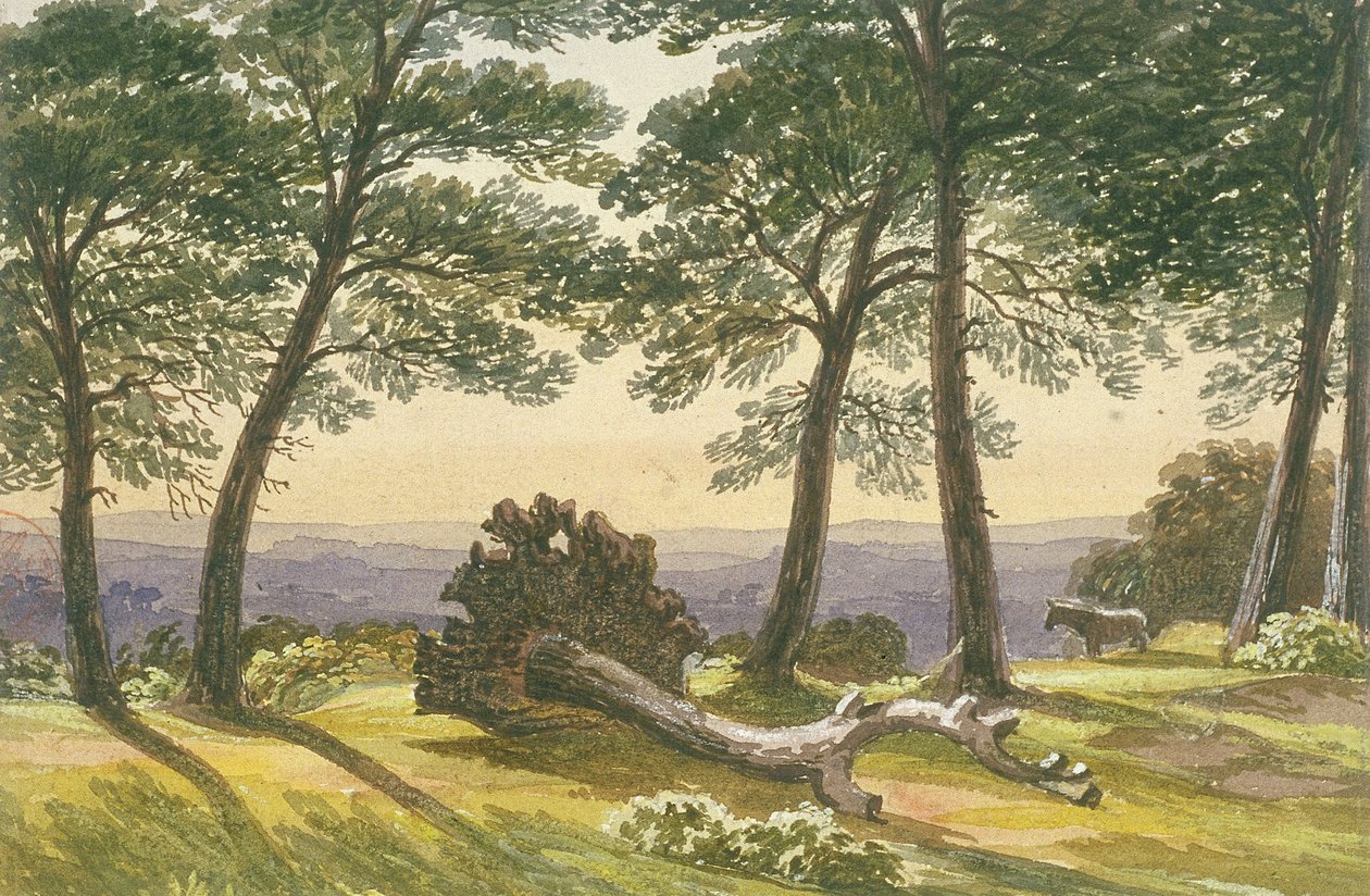 Hampstead Heath, London, c1830 av J Powell