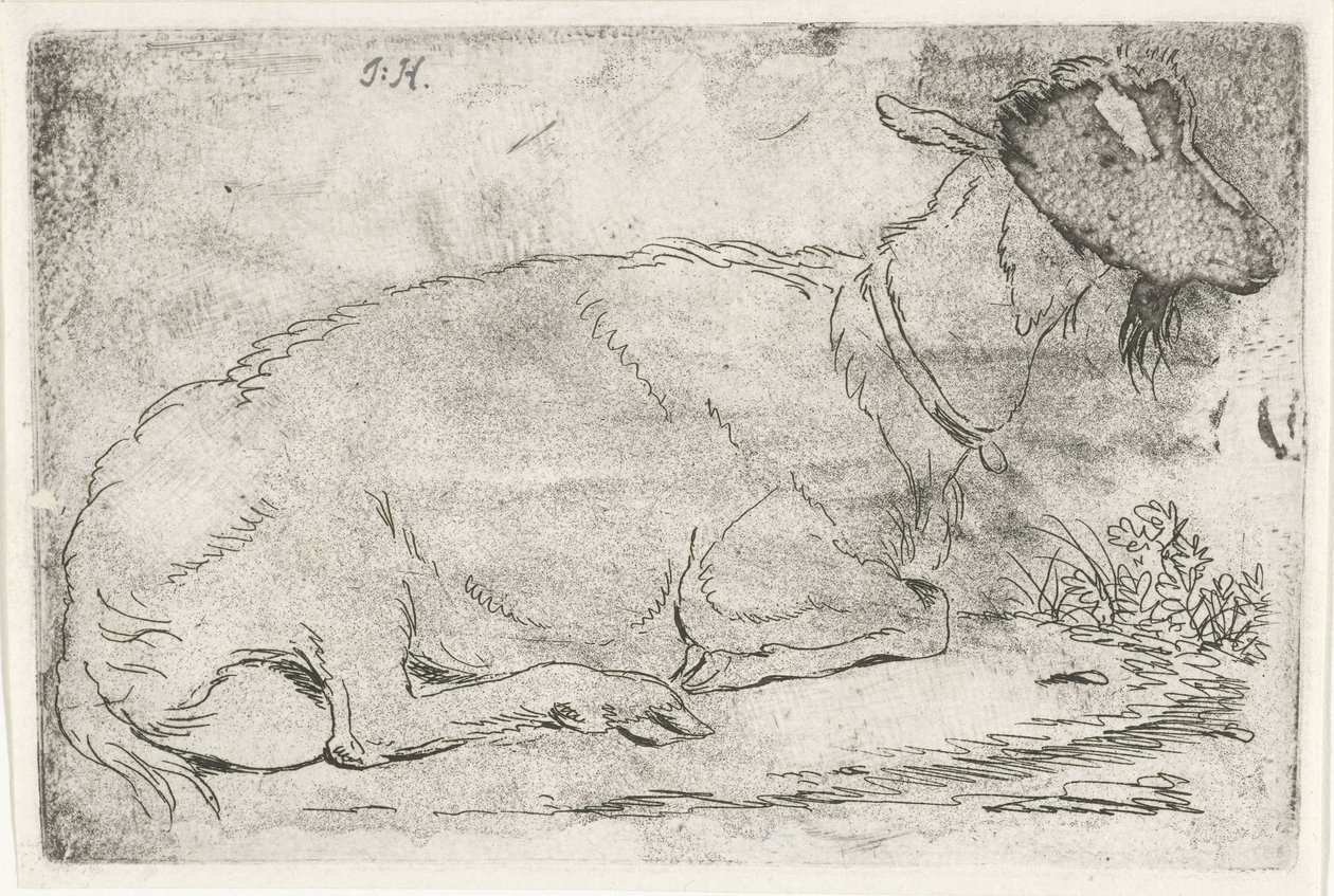 Liggende geit av Jabes Heenck (signed by artist)