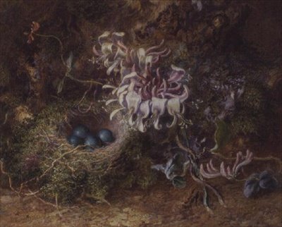 Fuglerede og kaprifol av Jabez Bligh