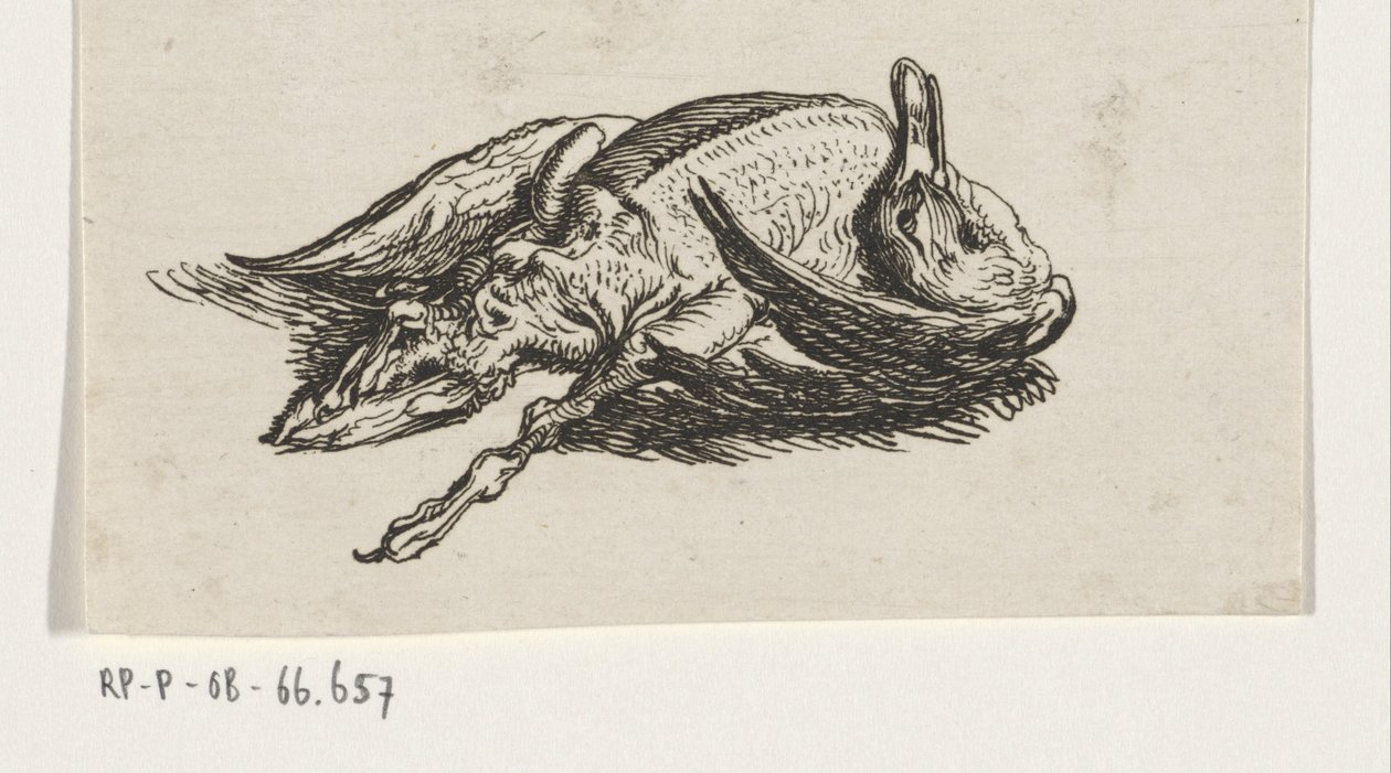 død and av Jacob Elias van Varelen