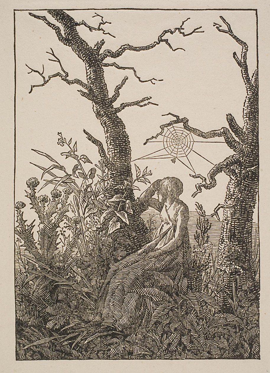 Melankoli. Kvinnen med edderkoppnettet av Jacob Friedrich
