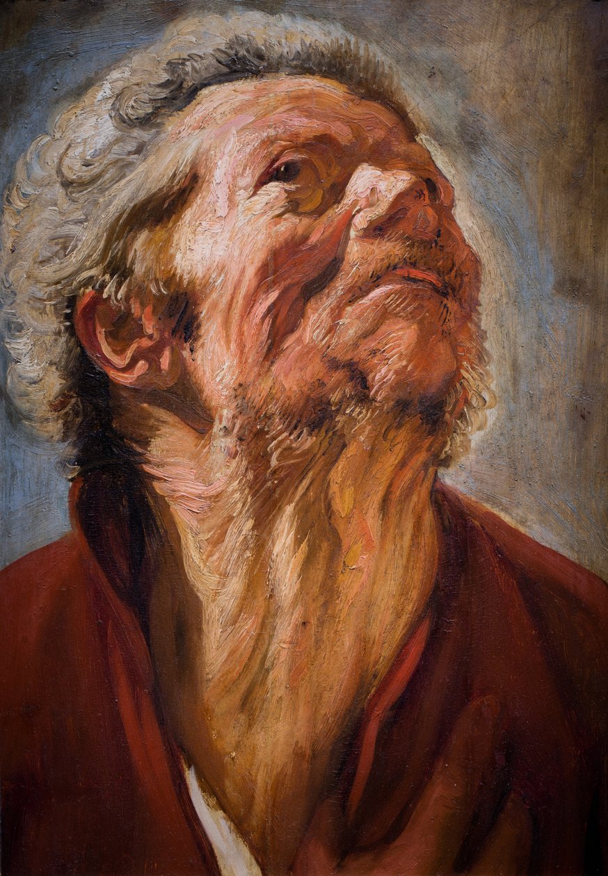  av Jacob Jordaens
