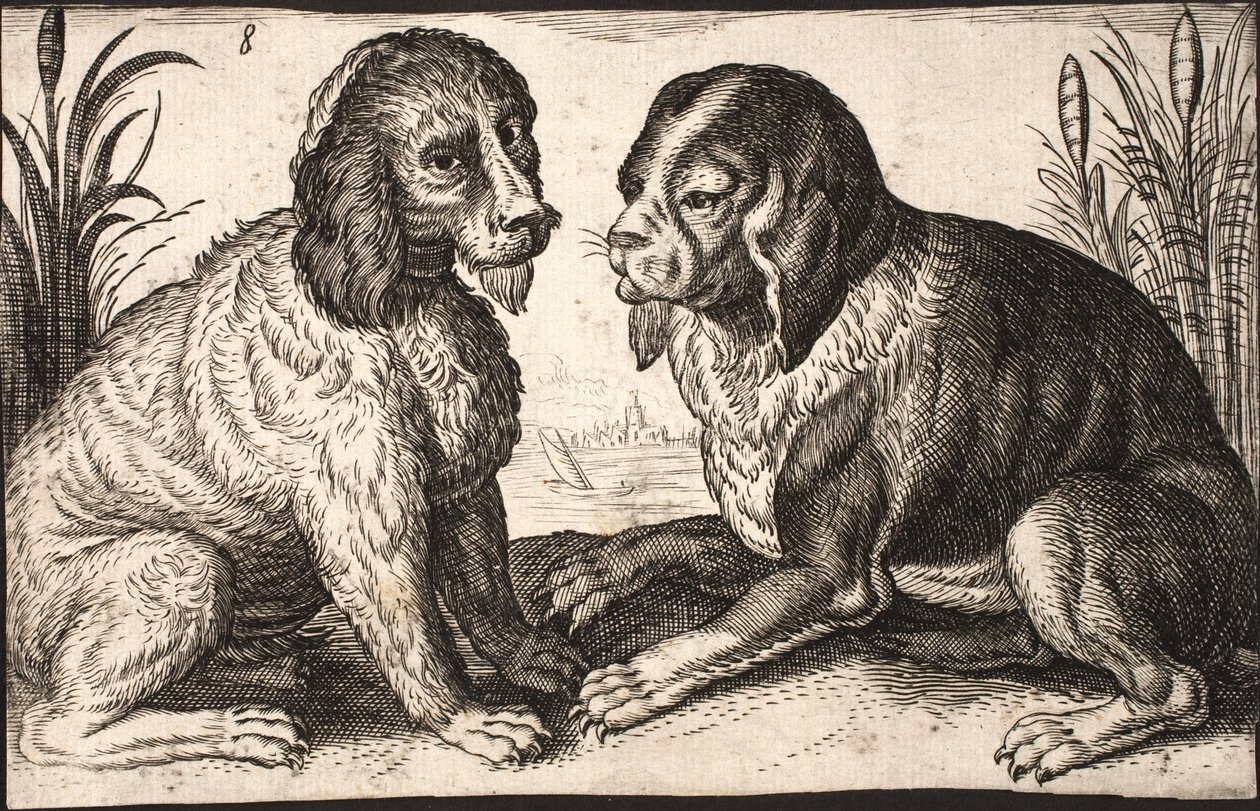 To hunder ved en innsjø av Jacob Matham