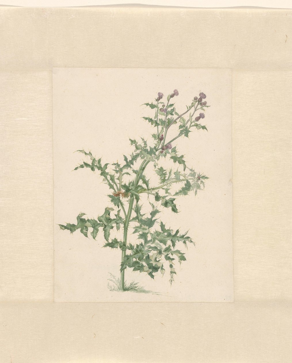 Blomstrende plante av Jacob van Eynden (II)