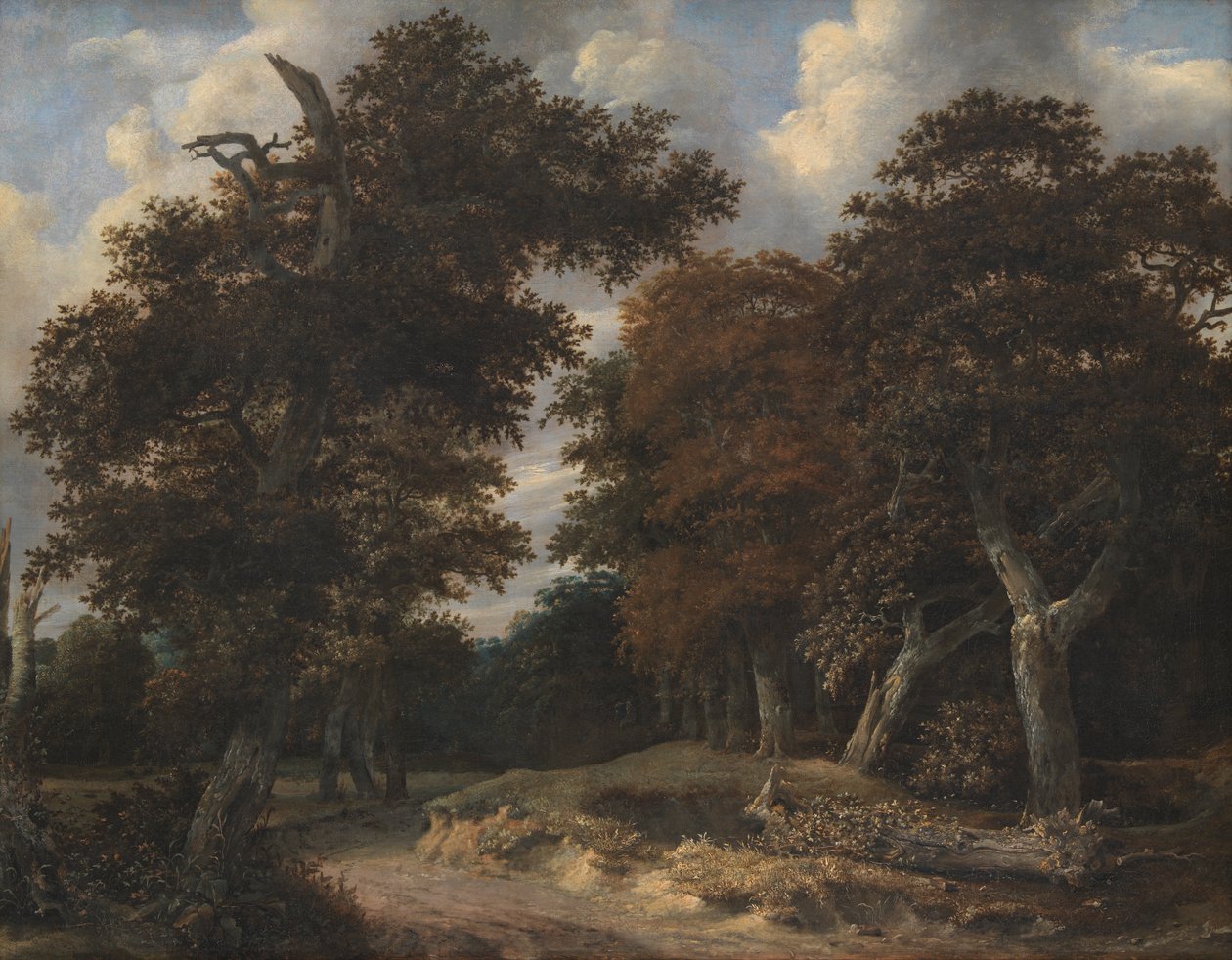 Vei gjennom en eikeskog av Jacob van Ruisdael