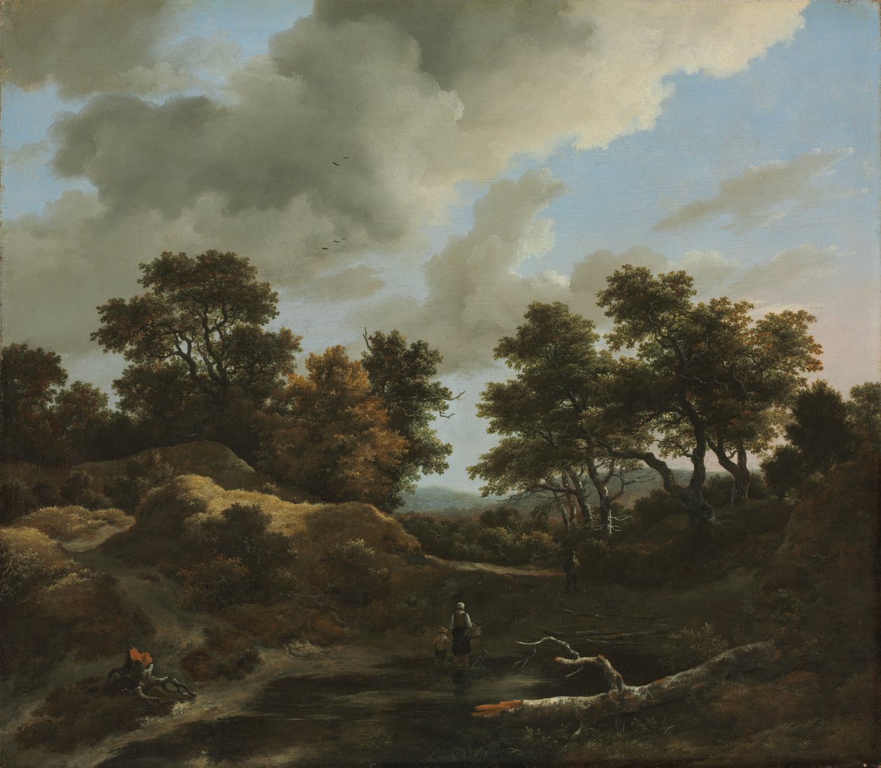 Skogkledd og kupert landskap, 1660-tallet. av Jacob van Ruisdael
