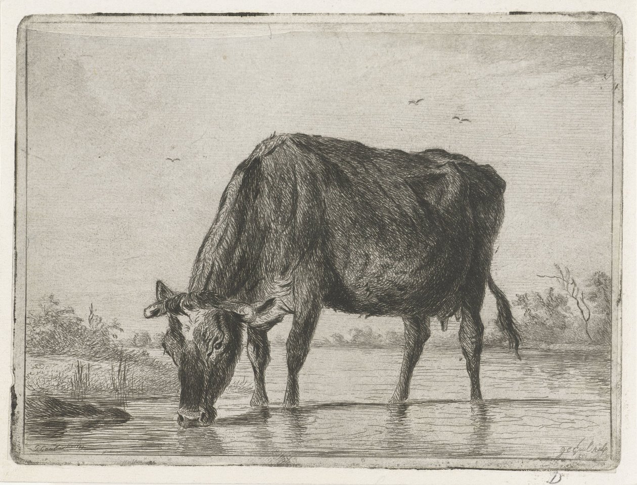 drikke ku av Jacobus Cornelis Gaal