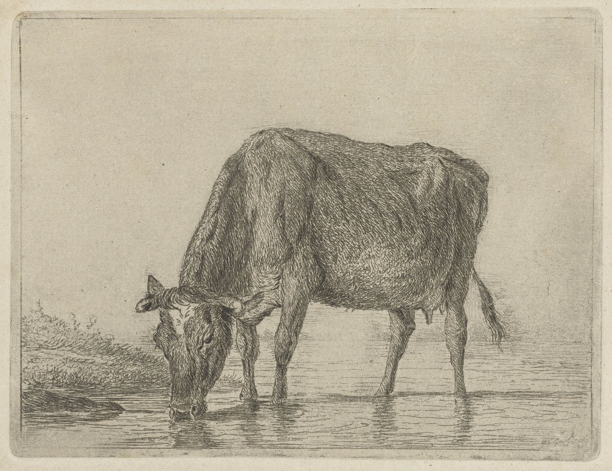 drikke ku av Jacobus Cornelis Gaal