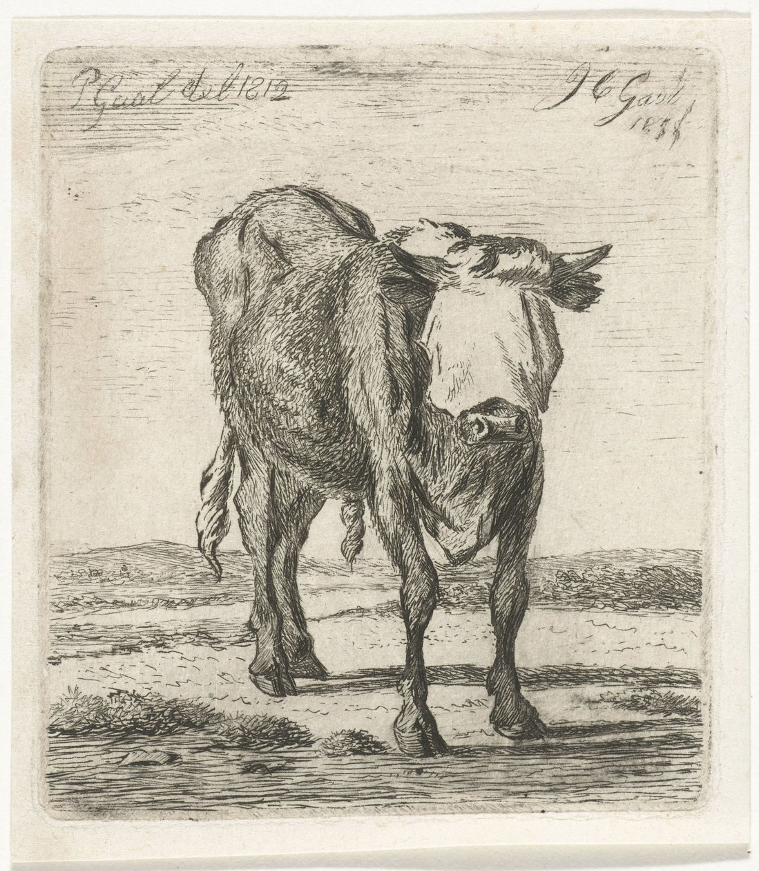 Okse med bind for øynene av Jacobus Cornelis Gaal