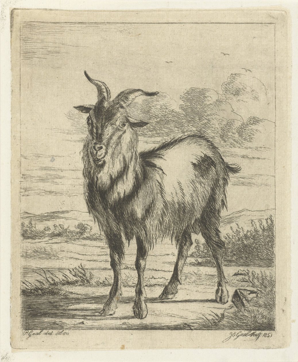 stående geit av Jacobus Cornelis Gaal