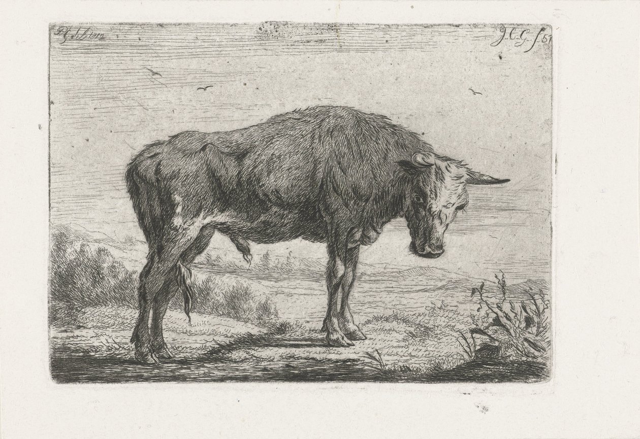 stående okse av Jacobus Cornelis Gaal