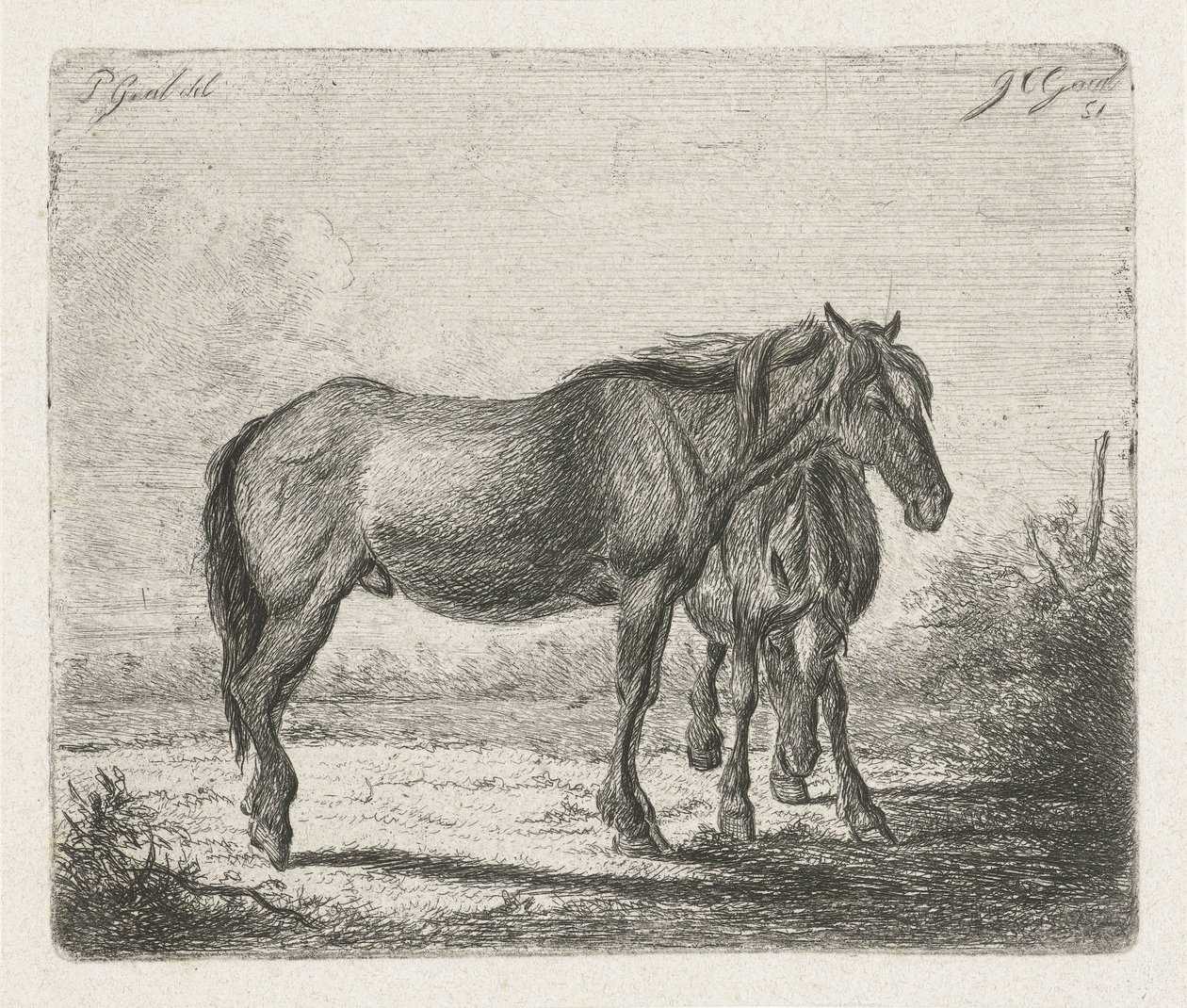To hester av Jacobus Cornelis Gaal