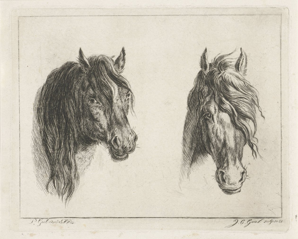 To hestehoder av Jacobus Cornelis Gaal