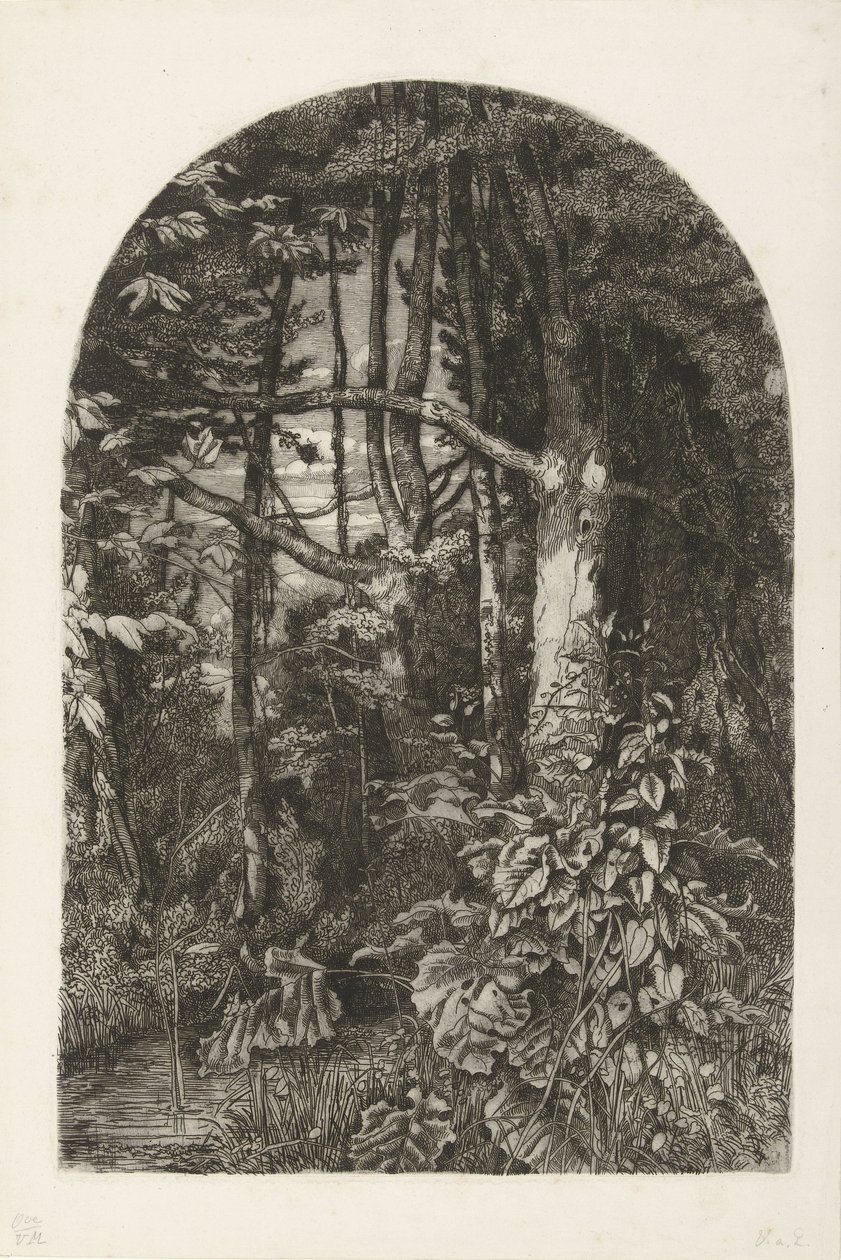 Skog med bekk av Jacobus Ludovicus Cornet