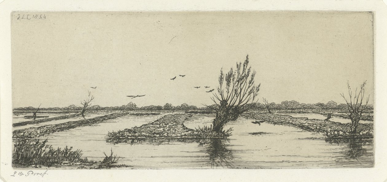 torvmyr av Jacobus Ludovicus Cornet