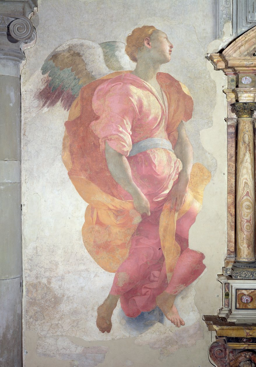 The Visitation, detalj av en engel til venstre for alteret, 1528-30 fresco av Jacopo Pontormo