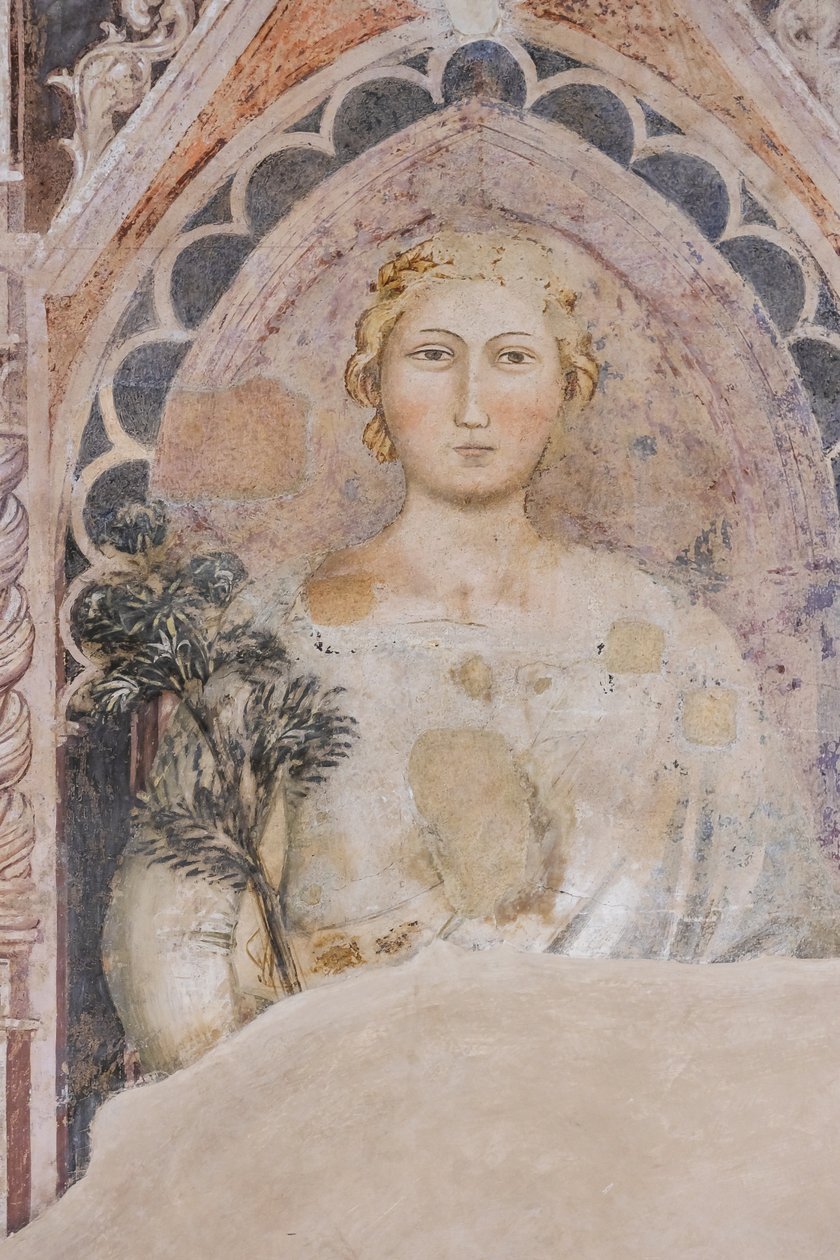 Allegory of the Dialectic (fresco)   1399549   no       norwegian Successfully Translated  Original: Kip en haan Translat: Kip en haan 1365817 no norwegian Successfully Translated Original: Oude man in mantel met bontkraag en helm Verzameling hoofden (seri av Jacopo di Cione