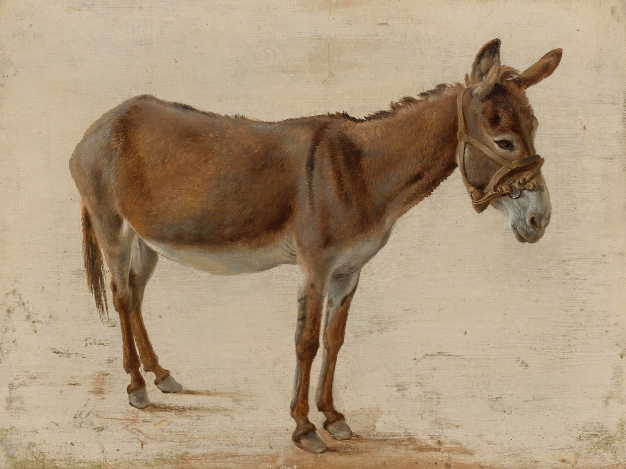 Et esel av Jacques Laurent Agasse